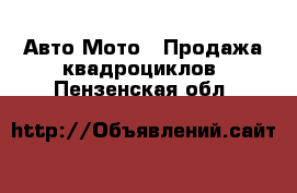 Авто Мото - Продажа квадроциклов. Пензенская обл.